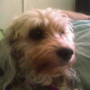 Meet your Posher, Pennye